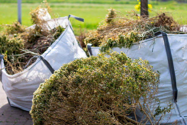 Basement Cleanout Services in Chenoweth, OR